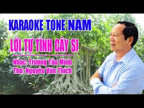 TỰ TÌNH CÂY SI 