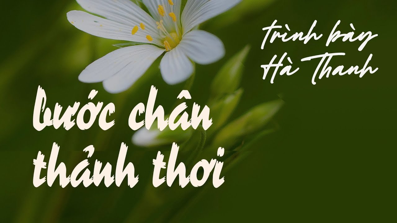 Từng bước chân thảnh thơi
