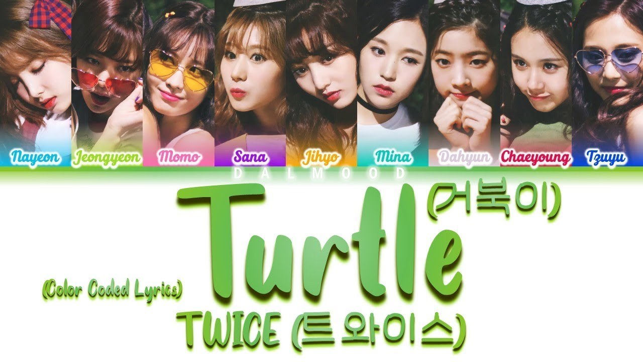 Turtle (거북이)