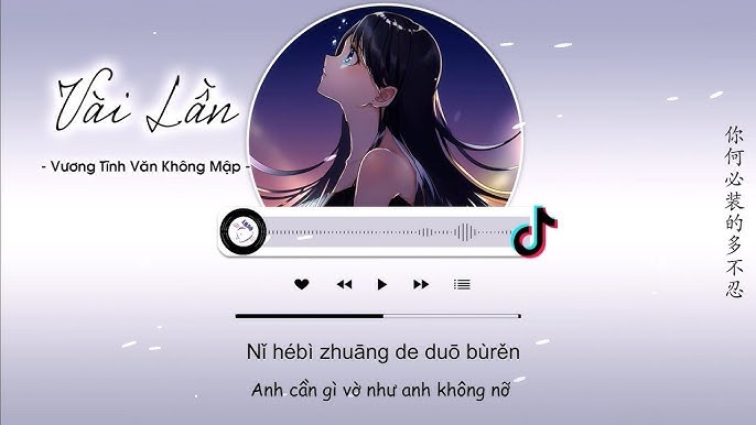 Vài lần - 几回