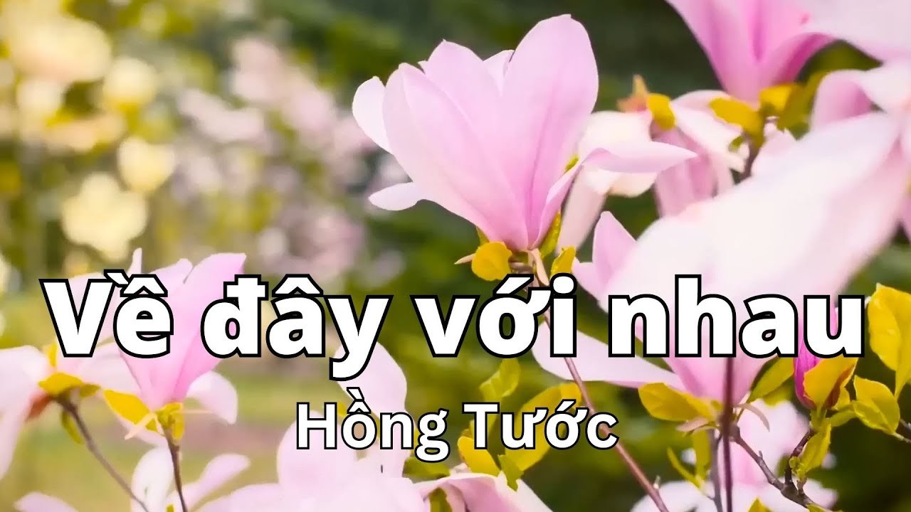 VẪN NHƯ CÒN ĐÂY