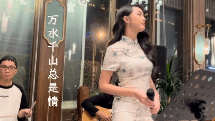 Vạn Thủy Thiên Sơn Vẫn Là Tình (万水千山总是情)