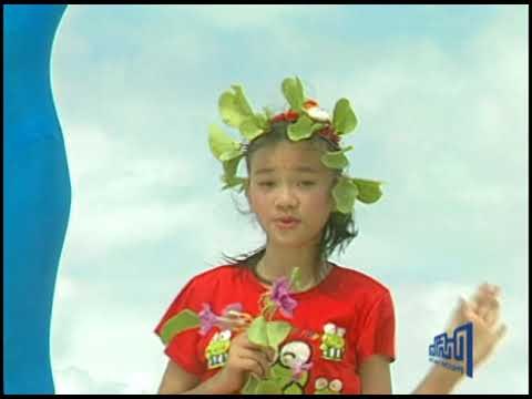 Về Biển