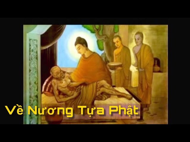 Về nương tựa Phật