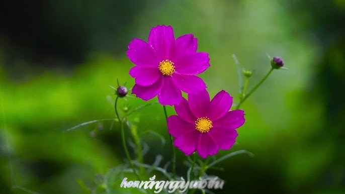 VỀ TRONG KỶ NIỆM