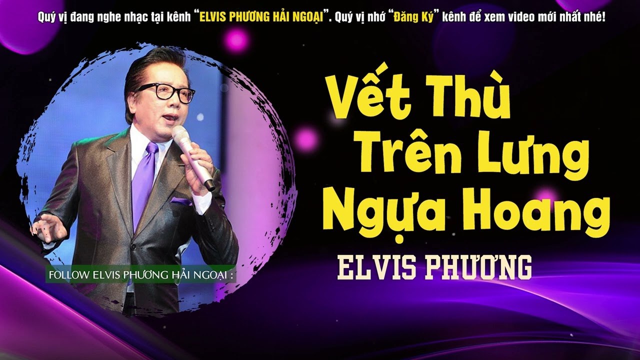 Vết Thù Trên Lưng Ngựa Hoang