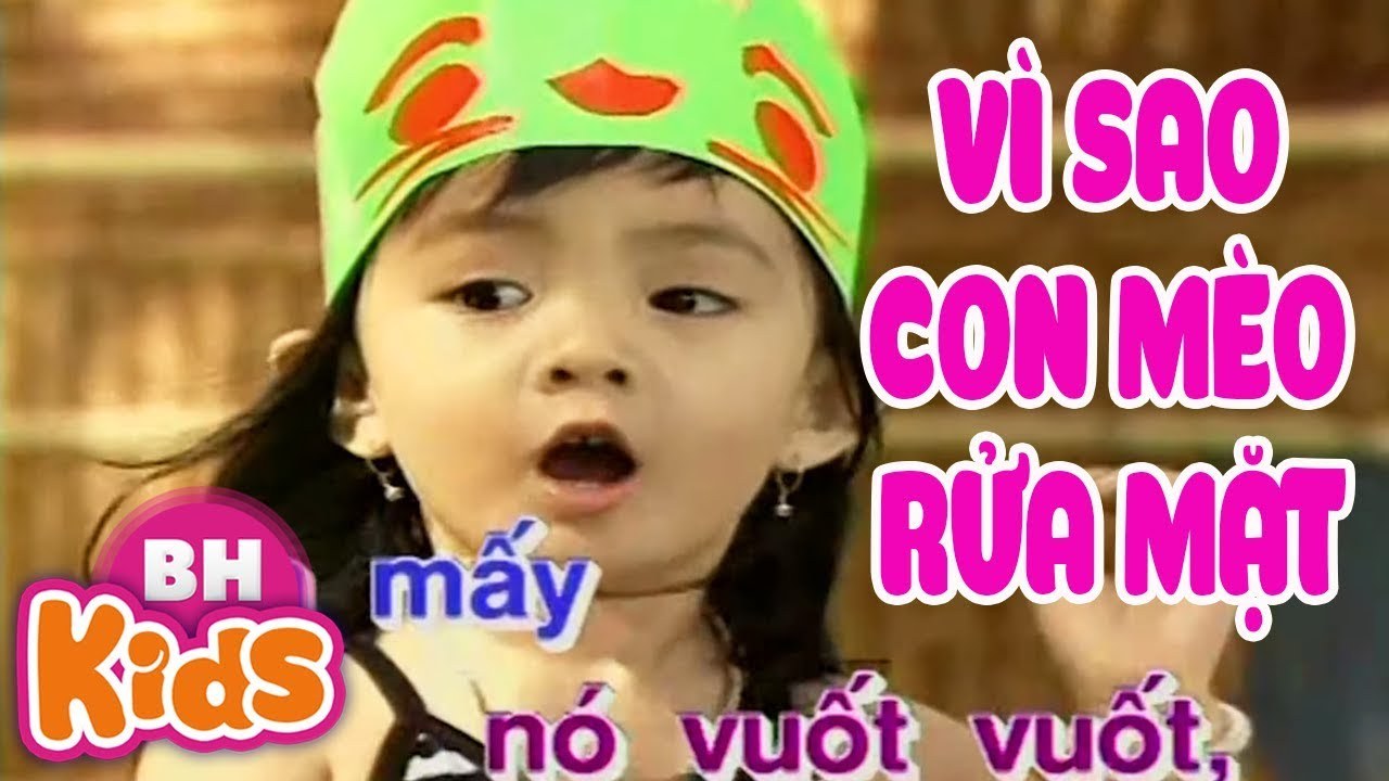 Vì sao con mèo rửa mặt