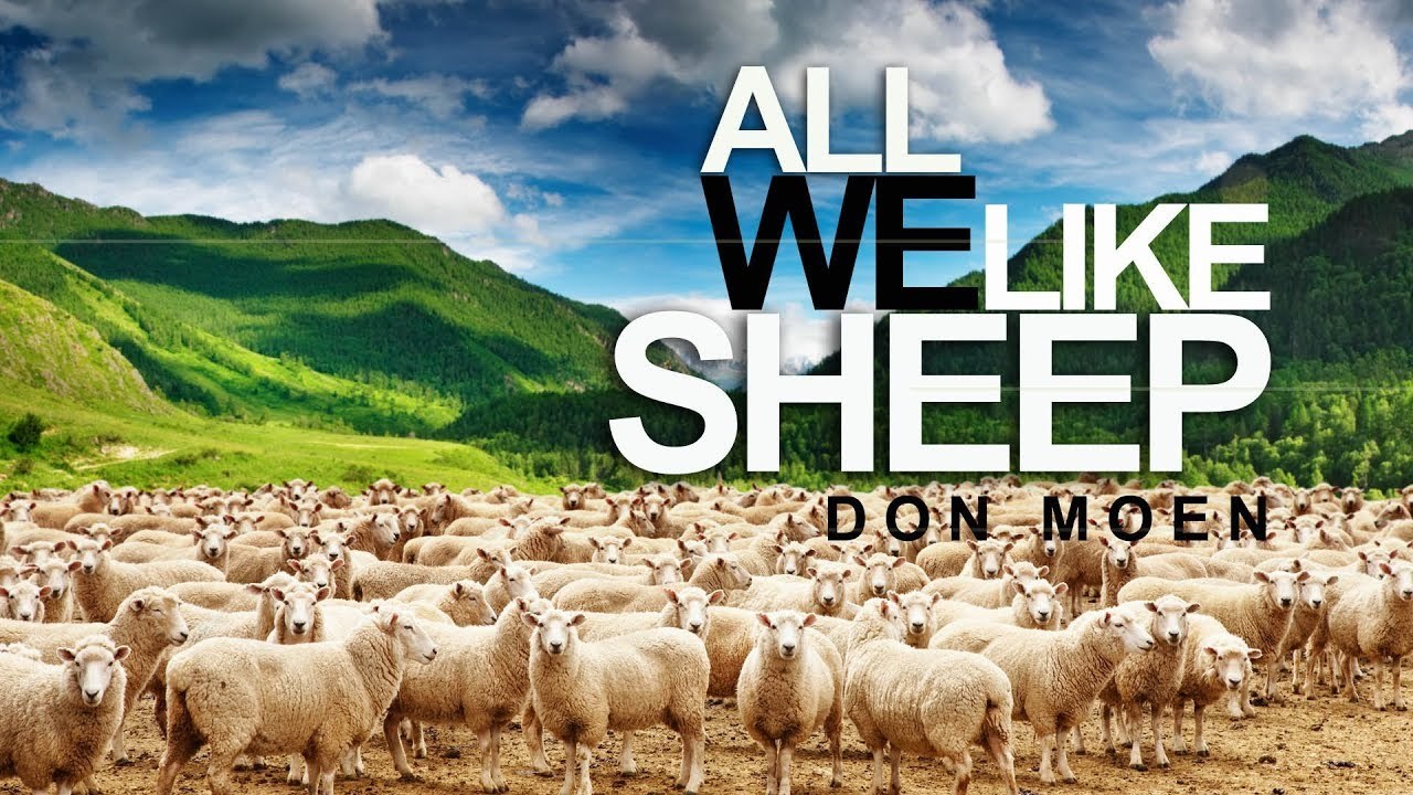 We Are Like Sheep