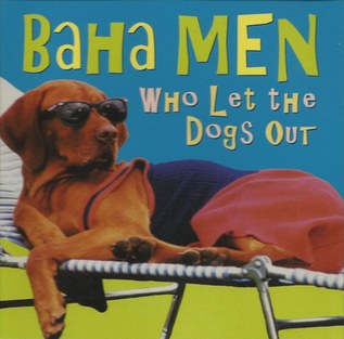 Who let the dogs out?