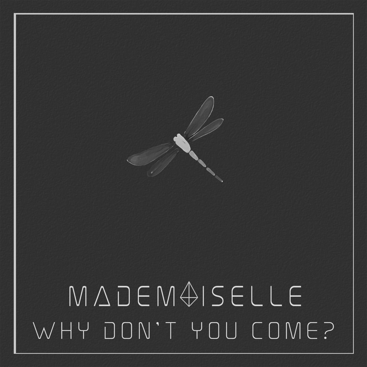 Why don't you come
