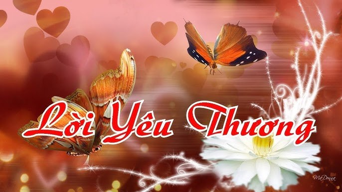 Xé Tan Lời Yêu Thương