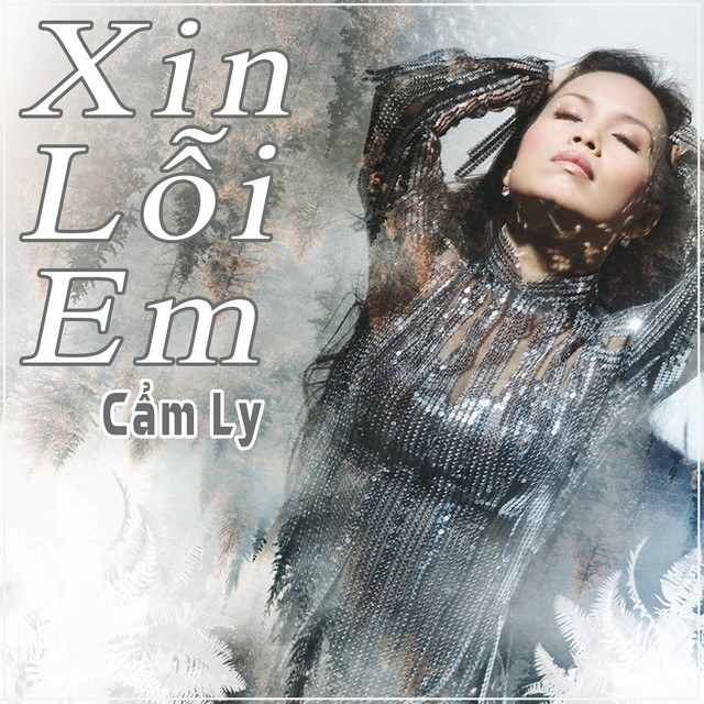 Xin lỗi em (Xin lỗi bảo bối - 宝贝对不起) (Đa tình)