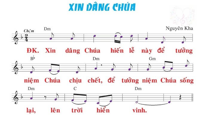 Xin