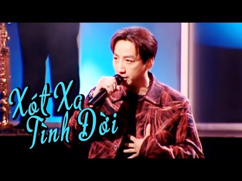 Xót Xa Tình Đời