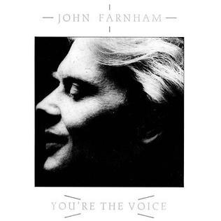 You're The Voice 