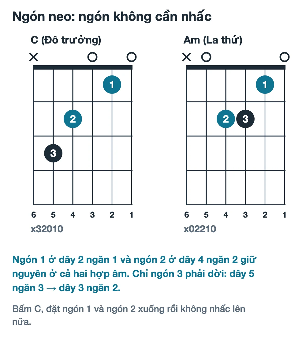 Sơ đồ hợp âm C và Am đặt cạnh nhau, tô nổi ngón 1 ở dây 2 ngăn 1 và ngón 2 ở dây 4 ngăn 2 là hai ngón neo giữ nguyên ở cả hai hợp âm