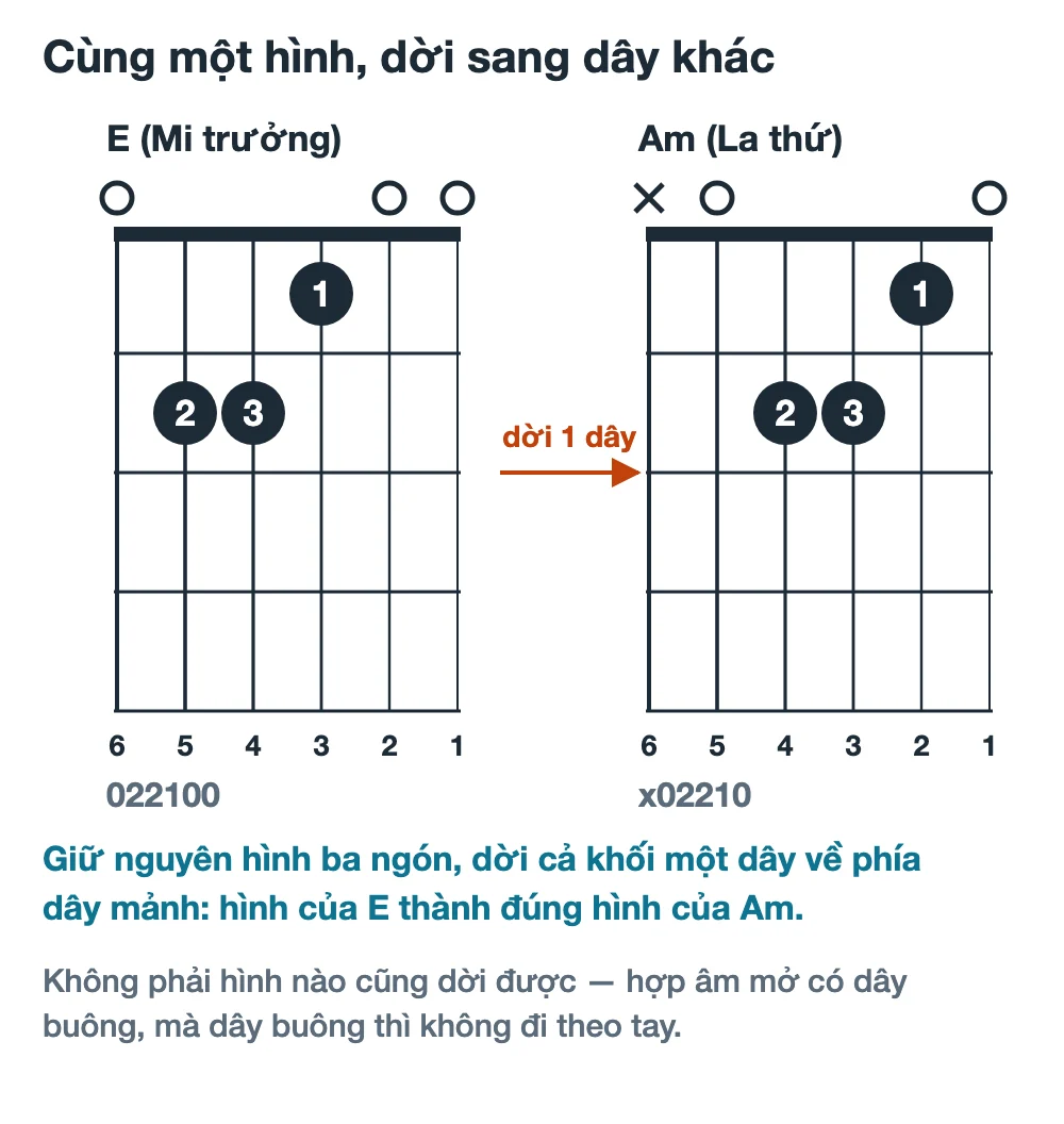 Sơ đồ hợp âm E và hợp âm Am đặt cạnh nhau với mũi tên cho thấy hình ba ngón của E dời một dây về phía dây mảnh thành hình của Am
