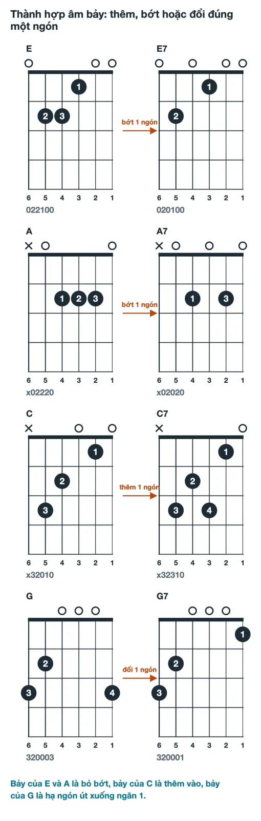 Bốn cặp sơ đồ hợp âm E và E7, A và A7, C và C7, G và G7 xếp dọc, mỗi cặp có mũi tên ghi rõ thêm bớt hay đổi một ngón