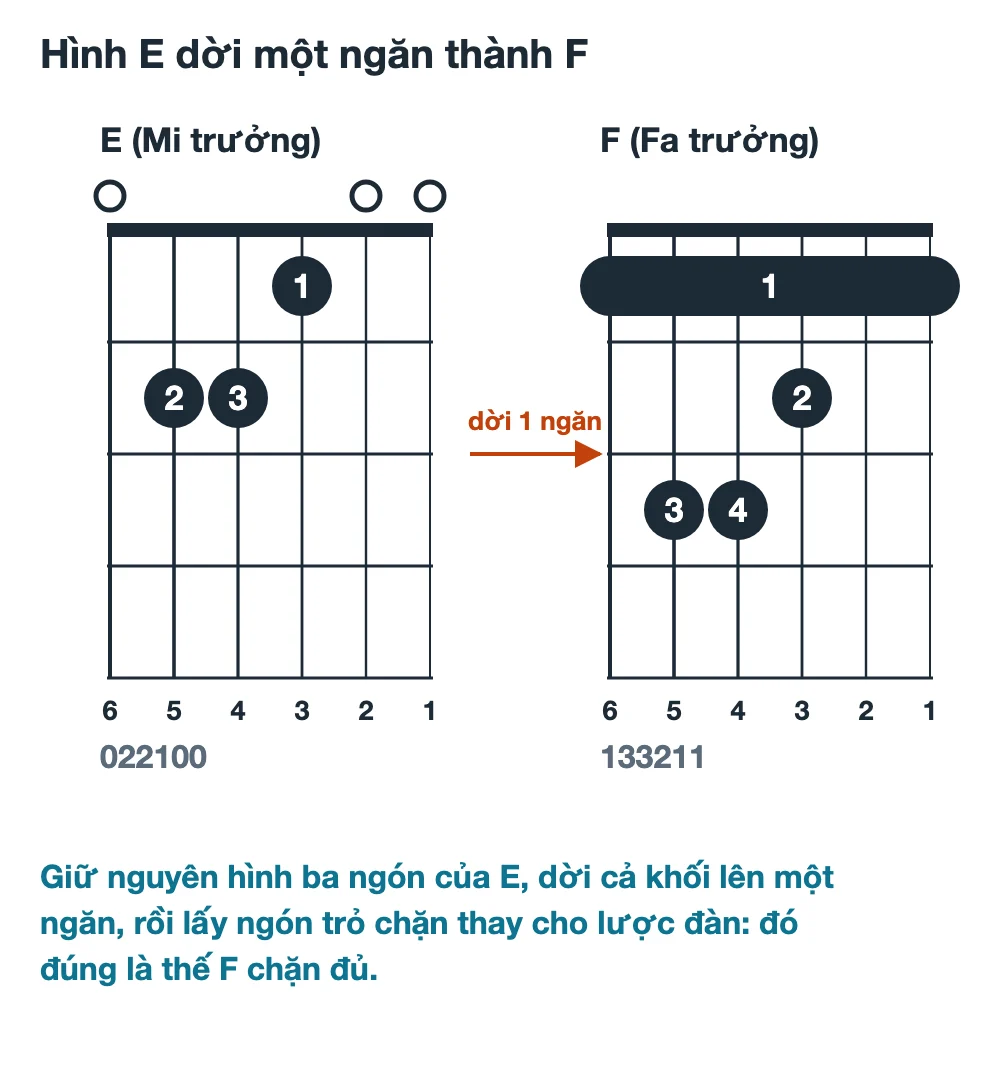 Sơ đồ hợp âm E và hợp âm F chặn đủ đặt cạnh nhau với mũi tên cho thấy hình ba ngón của E dời lên một ngăn thành thế F chặn sáu dây