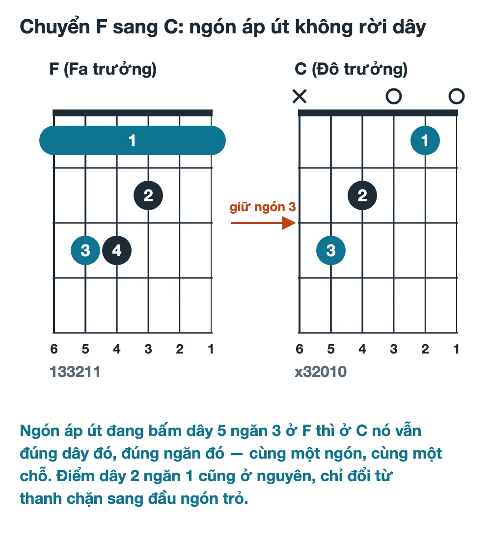 Sơ đồ chuyển từ hợp âm F chặn sang hợp âm C, tô nổi dây 5 ngăn 3 là điểm ngón áp út không rời và dây 2 ngăn 1 là điểm giữ nguyên vị trí