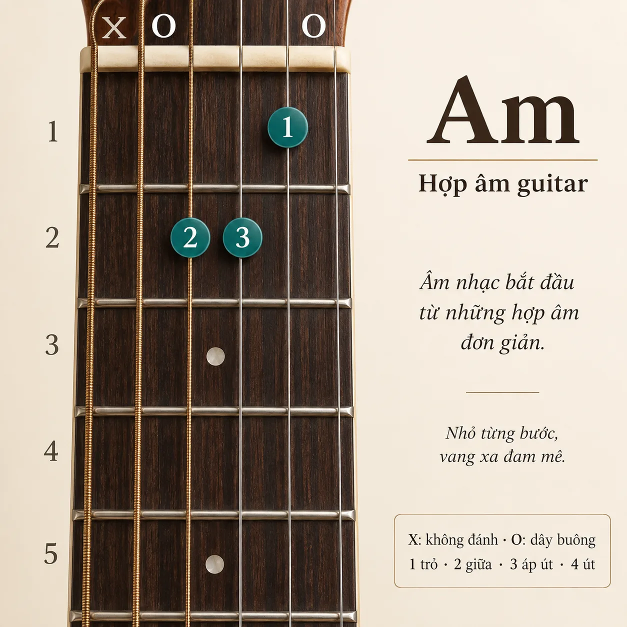 Sơ đồ hợp âm Am, thế bấm x02210, dây 6 đến dây 1