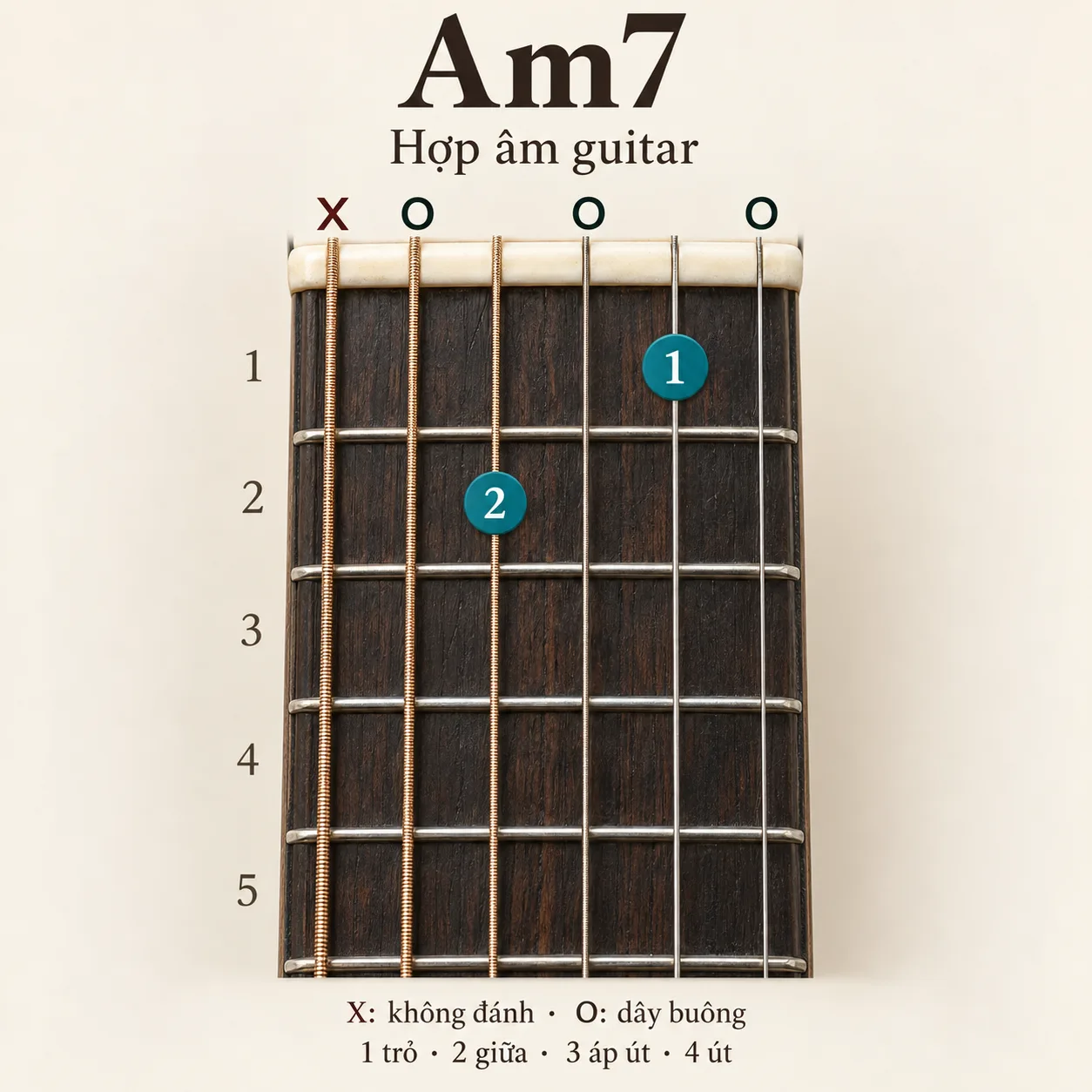 Sơ đồ hợp &acirc;m Am7, thế bấm x02010, d&acirc;y 6 đến d&acirc;y 1