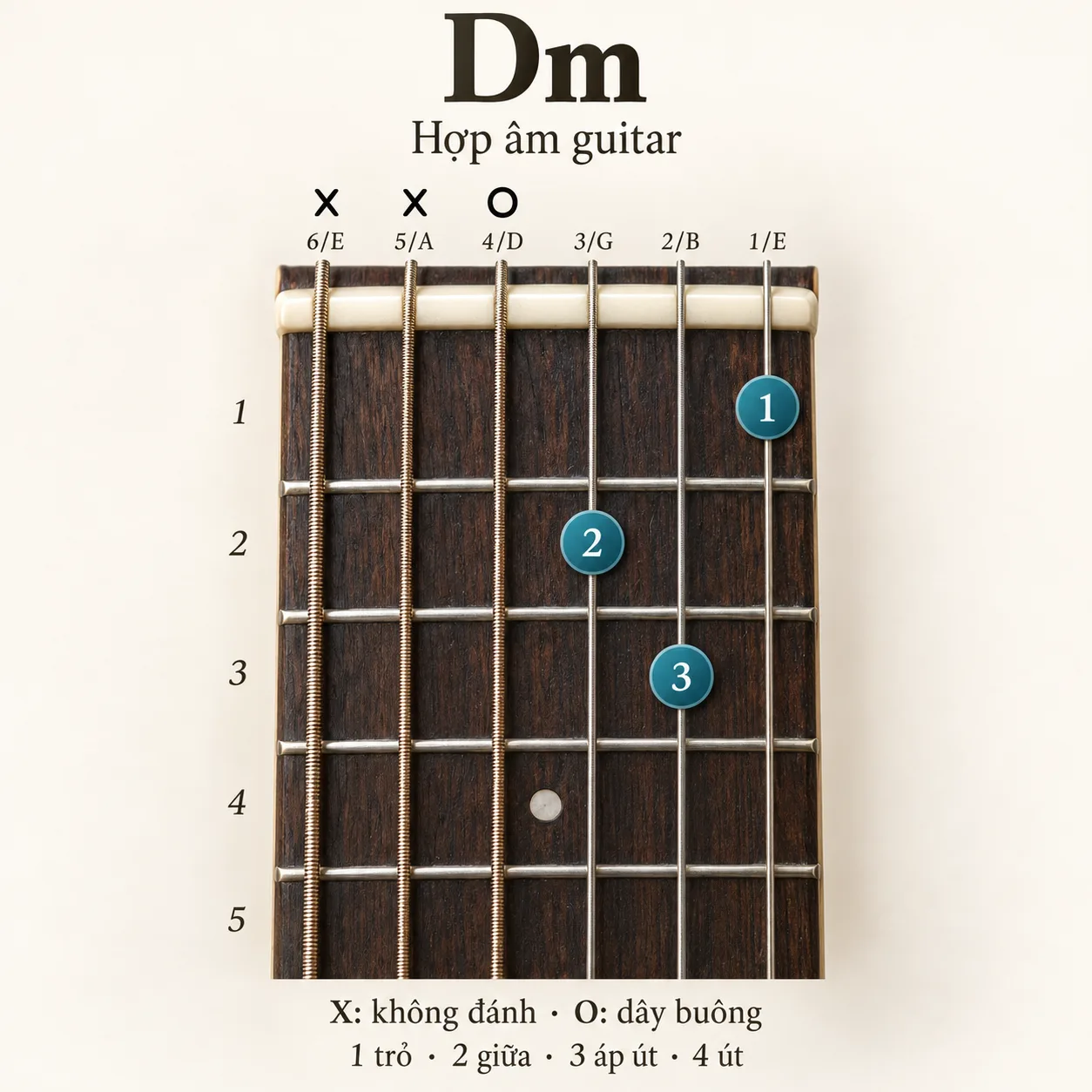 Sơ đồ hợp &acirc;m Dm, thế bấm xx0231, d&acirc;y 6 đến d&acirc;y 1